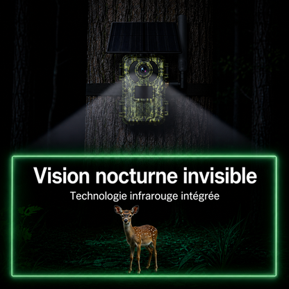 Camera de chasse Full HD avec écran – affichage immédiat des images