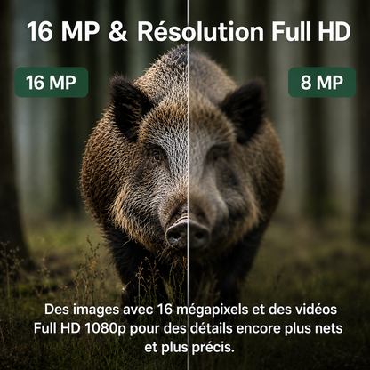 Camera de chasse Full HD avec écran – affichage immédiat des images